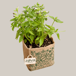Eco-friendly biodegradable jute grow Planter bag with custom printed pattern, natural fabric planter bag for herbs, flowers, vegetables, and sustainable home gardening by Zova Organics.