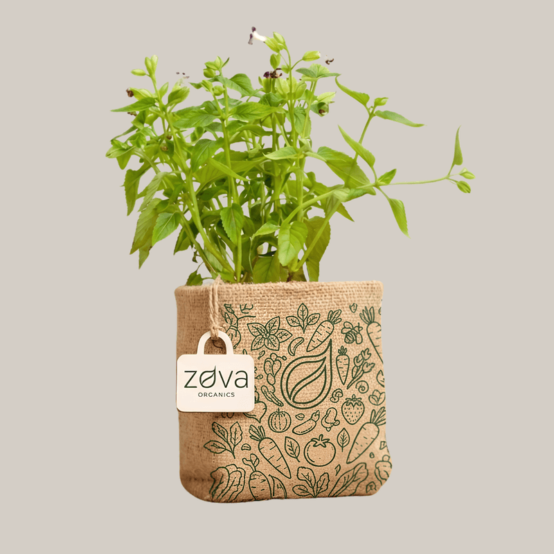 Eco-friendly biodegradable jute grow bag with custom printed pattern, natural fabric planter bag for herbs, flowers, vegetables, and sustainable home gardening by Zova Organics.